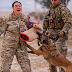 Malmstrom K-9's perform training despite cold weather