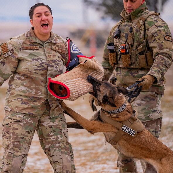 Malmstrom K-9's perform training despite cold weather