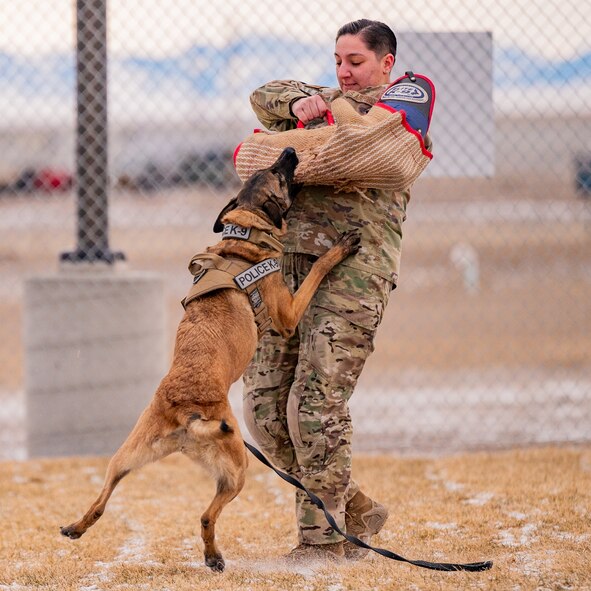 Malmstrom K-9's perform training despite cold weather