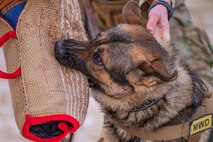 Malmstrom K-9's perform training despite cold weather