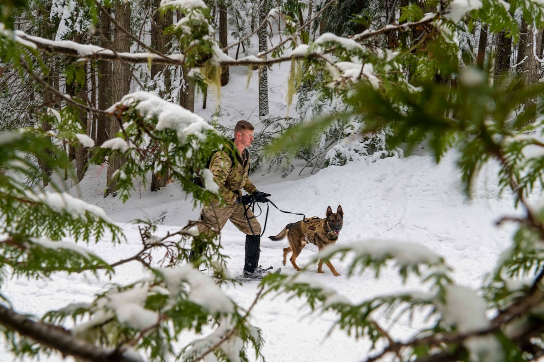 An airman walks a dog through a snowy wooded area.