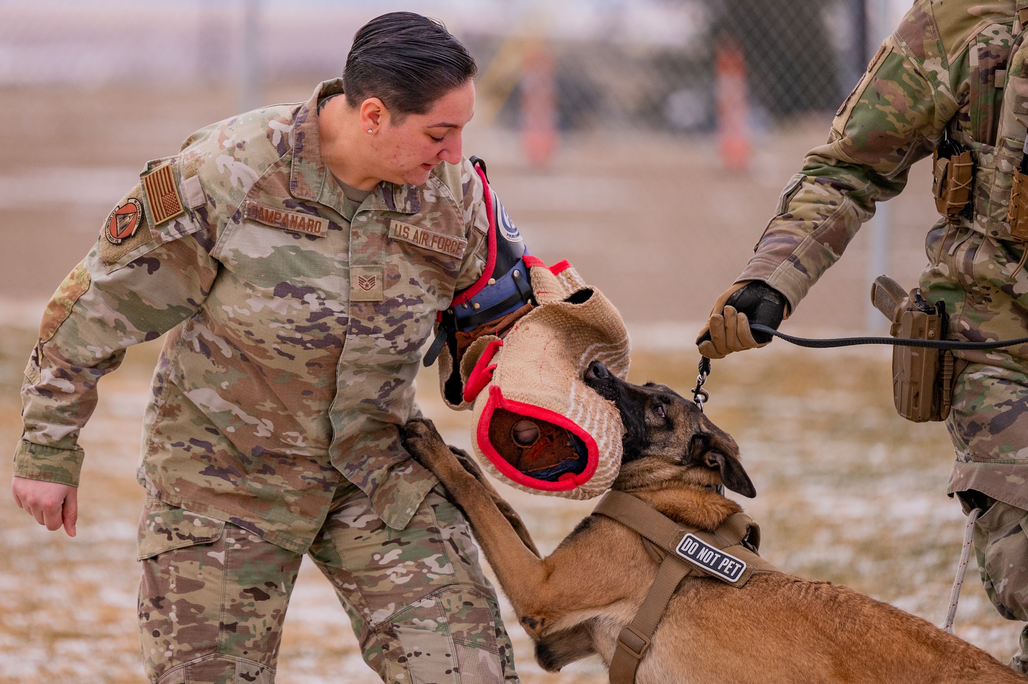 Malmstrom K-9's perform training despite cold weather