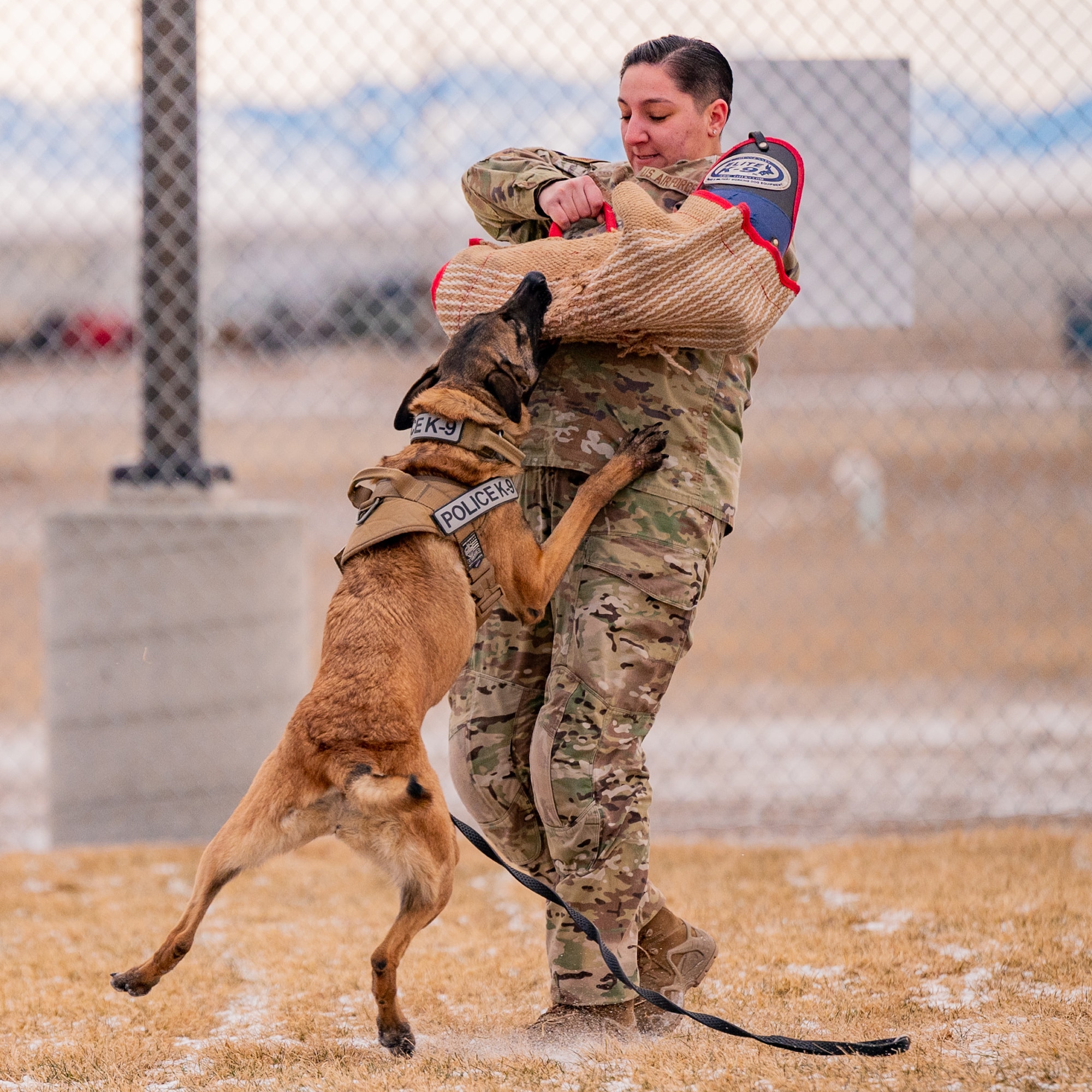 Malmstrom K-9's perform training despite cold weather
