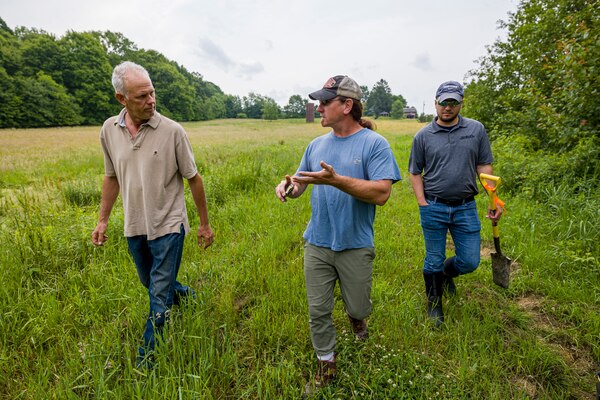 The regulatory program protects wetlands because wetlands act as natural filters of pollutants, which results in cleaner water downstream.