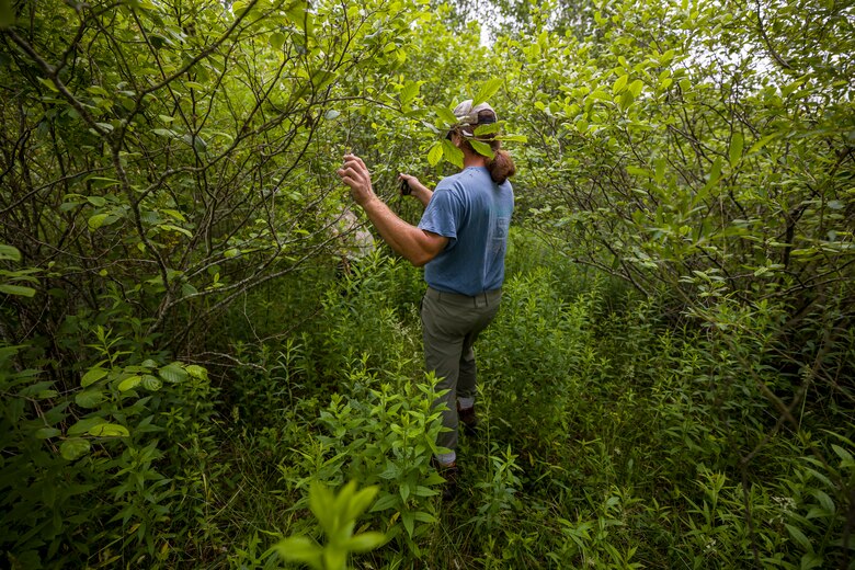 The regulatory program protects wetlands because wetlands act as natural filters of pollutants, which results in cleaner water downstream.