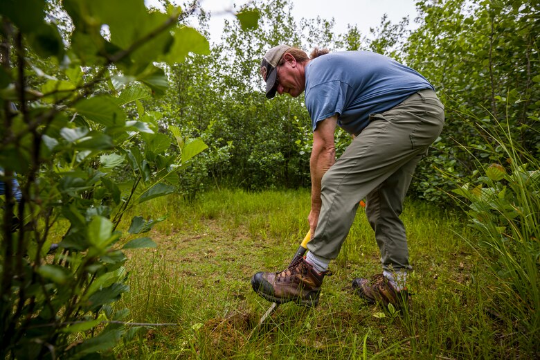 The regulatory program protects wetlands because wetlands act as natural filters of pollutants, which results in cleaner water downstream.