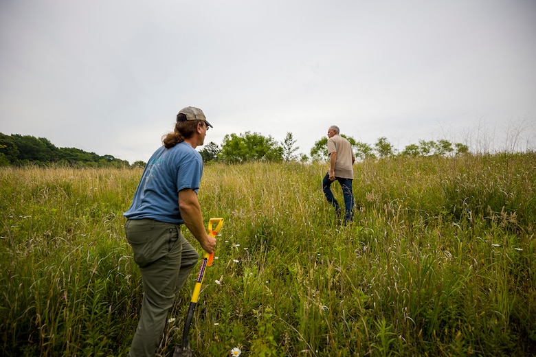 The regulatory program protects wetlands because wetlands act as natural filters of pollutants, which results in cleaner water downstream.