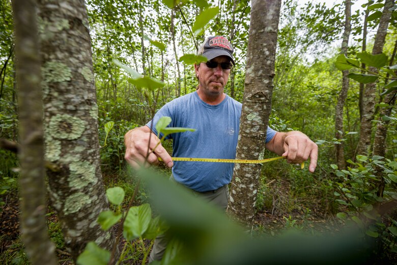 The regulatory program protects wetlands because wetlands act as natural filters of pollutants, which results in cleaner water downstream.