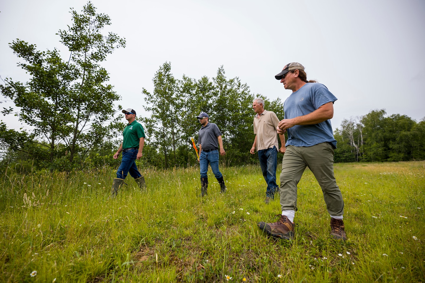 The regulatory program protects wetlands because wetlands act as natural filters of pollutants, which results in cleaner water downstream.