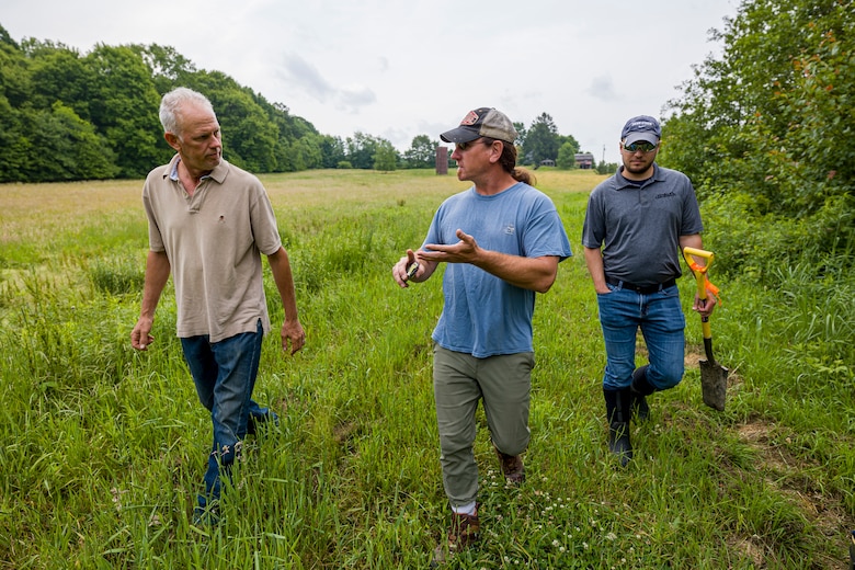 The regulatory program protects wetlands because wetlands act as natural filters of pollutants, which results in cleaner water downstream.
