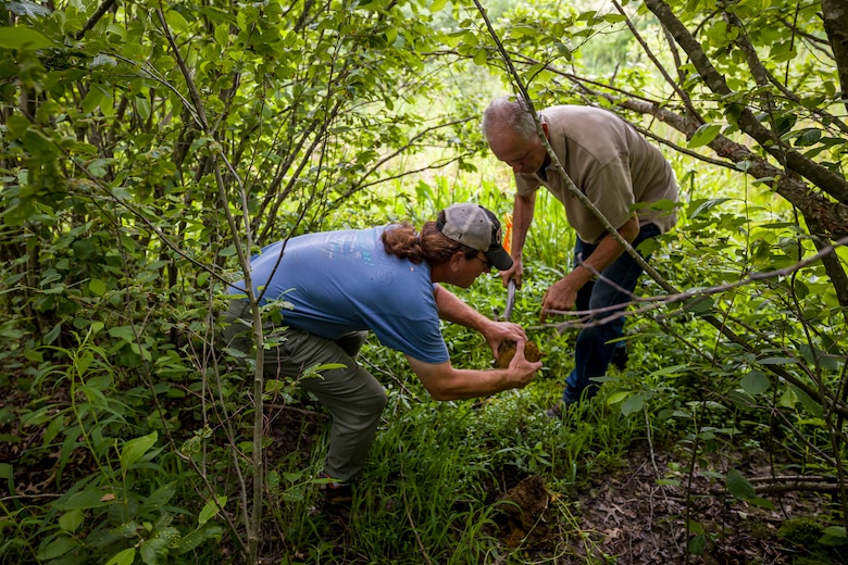 The regulatory program protects wetlands because wetlands act as natural filters of pollutants, which results in cleaner water downstream.