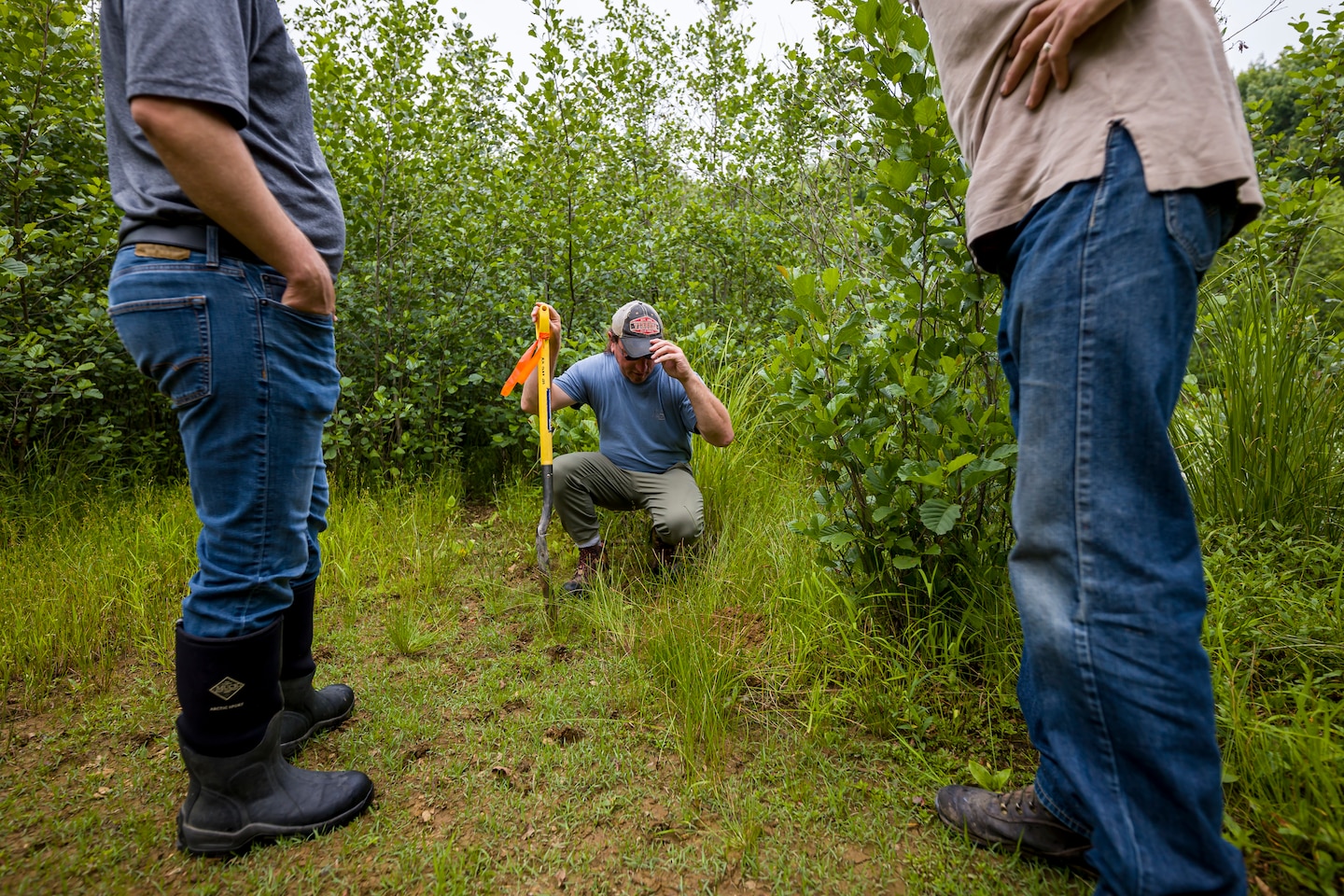 The regulatory program protects wetlands because wetlands act as natural filters of pollutants, which results in cleaner water downstream.
