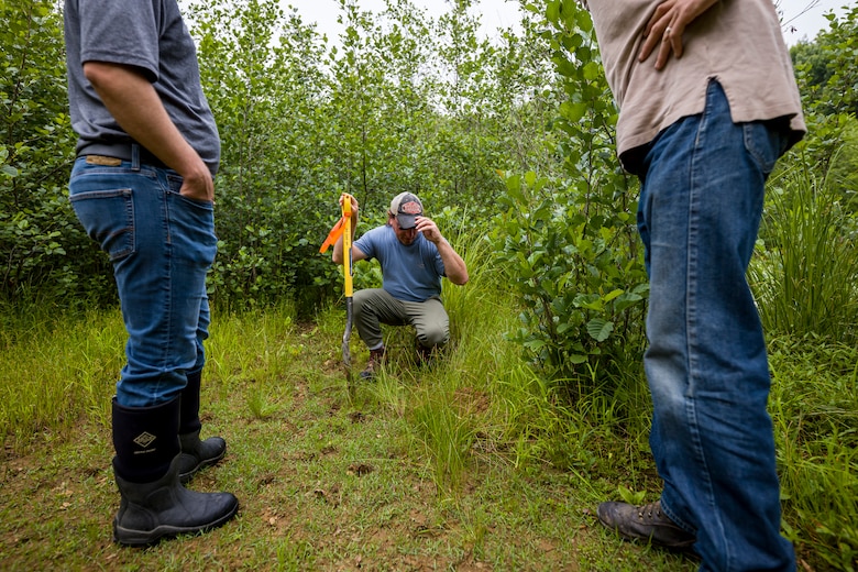 The regulatory program protects wetlands because wetlands act as natural filters of pollutants, which results in cleaner water downstream.