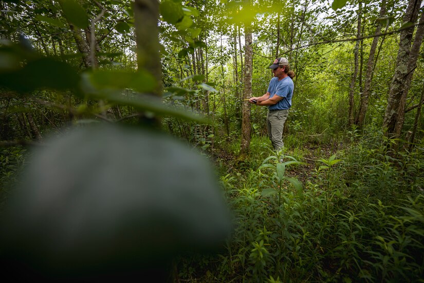 The regulatory program protects wetlands because wetlands act as natural filters of pollutants, which results in cleaner water downstream.