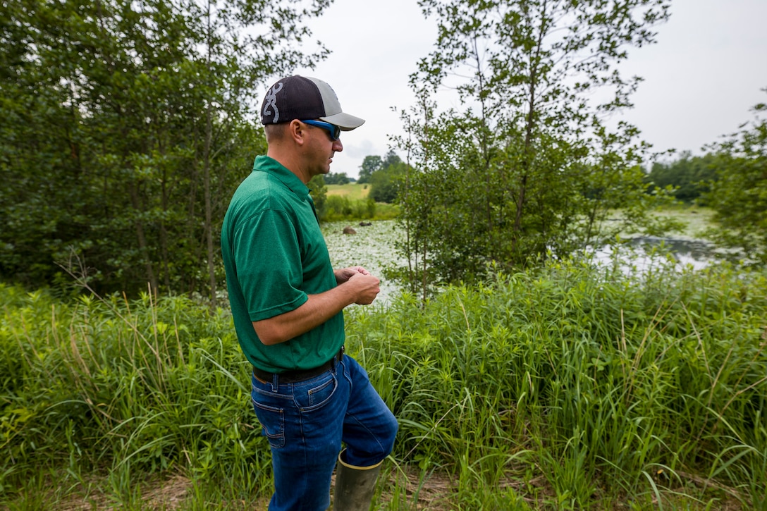The regulatory program protects wetlands because wetlands act as natural filters of pollutants, which results in cleaner water downstream.
