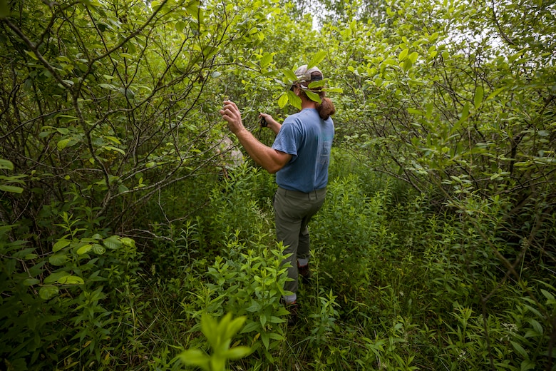The regulatory program protects wetlands because wetlands act as natural filters of pollutants, which results in cleaner water downstream.
