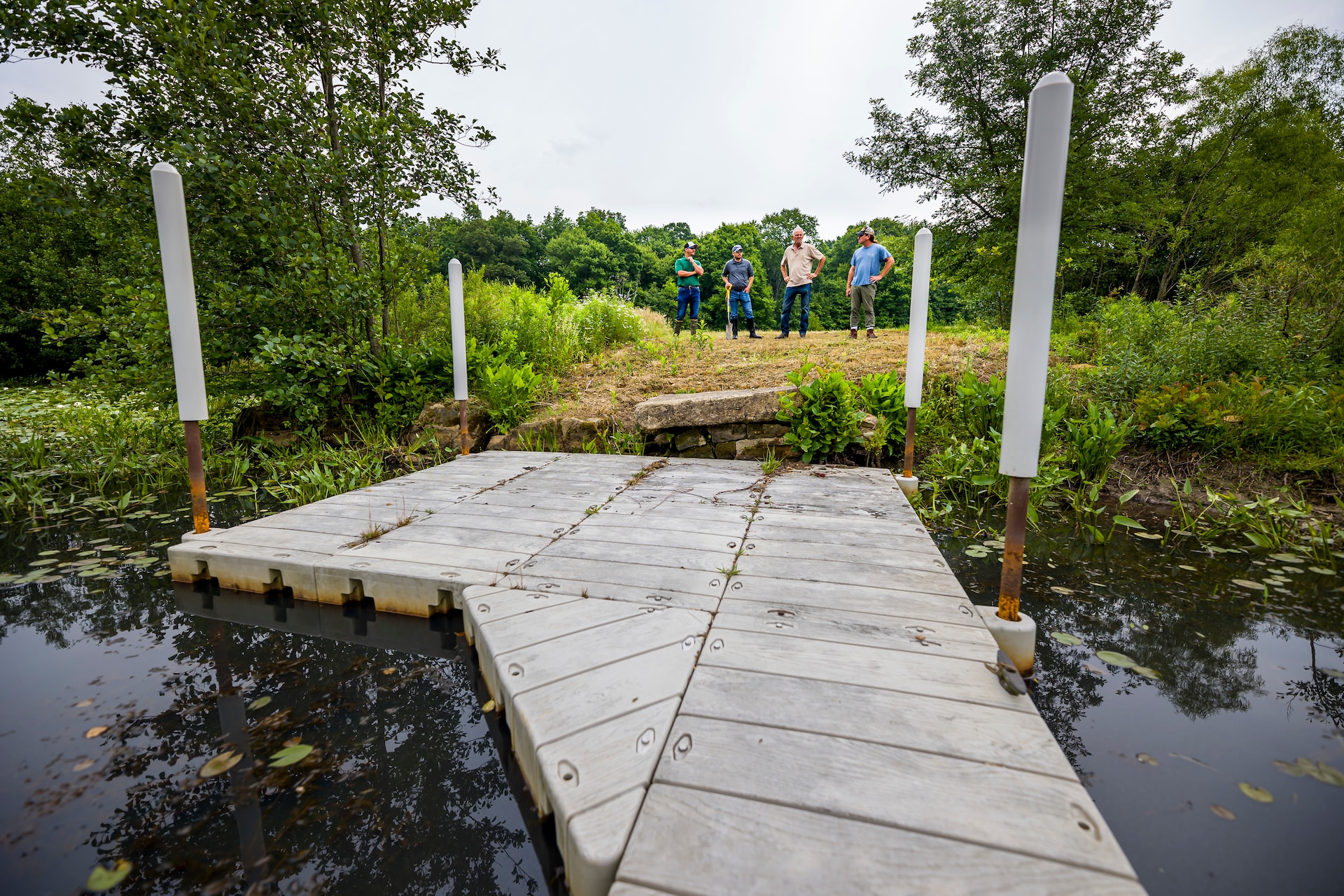 The regulatory program protects wetlands because wetlands act as natural filters of pollutants, which results in cleaner water downstream.