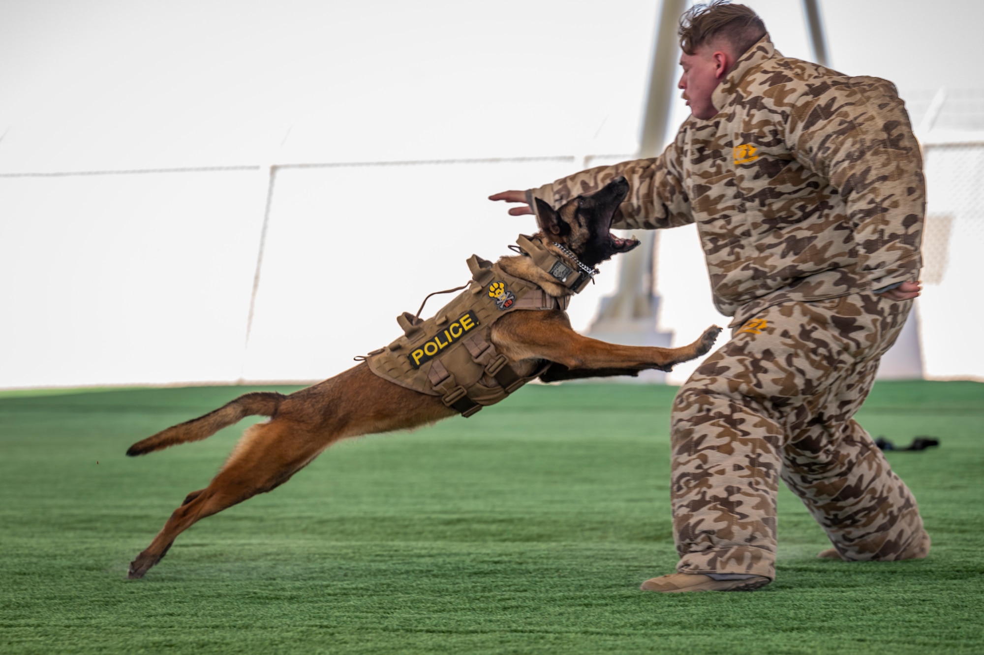 a dog biting a person wearing a protective suit