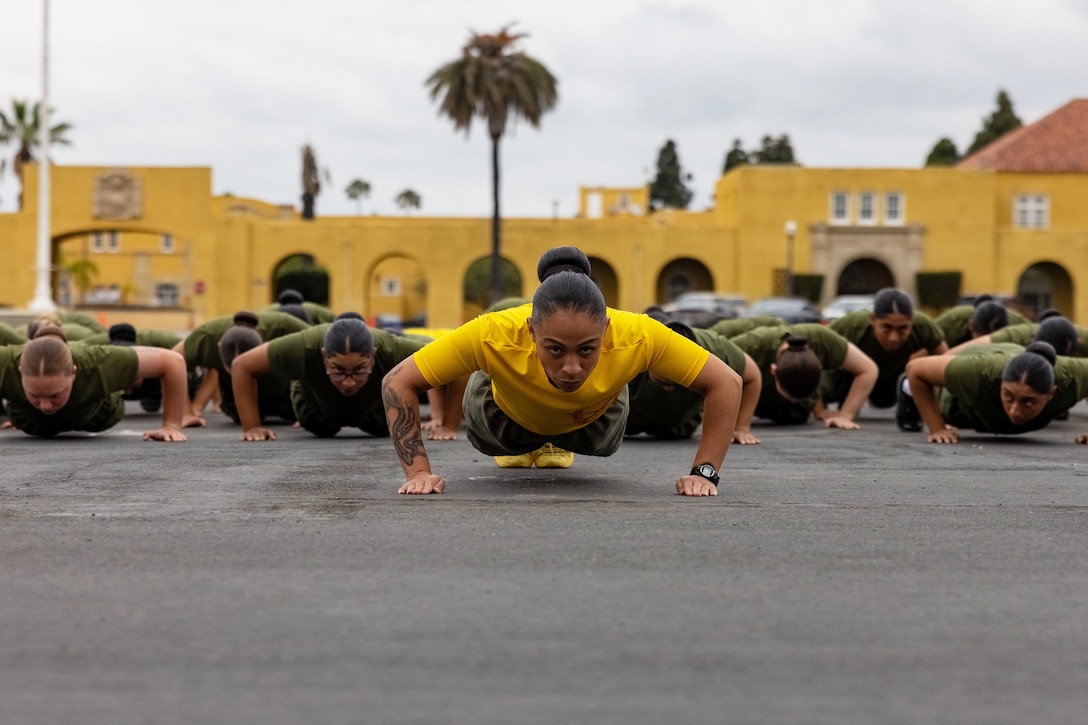 Marines do pushups in a formation.