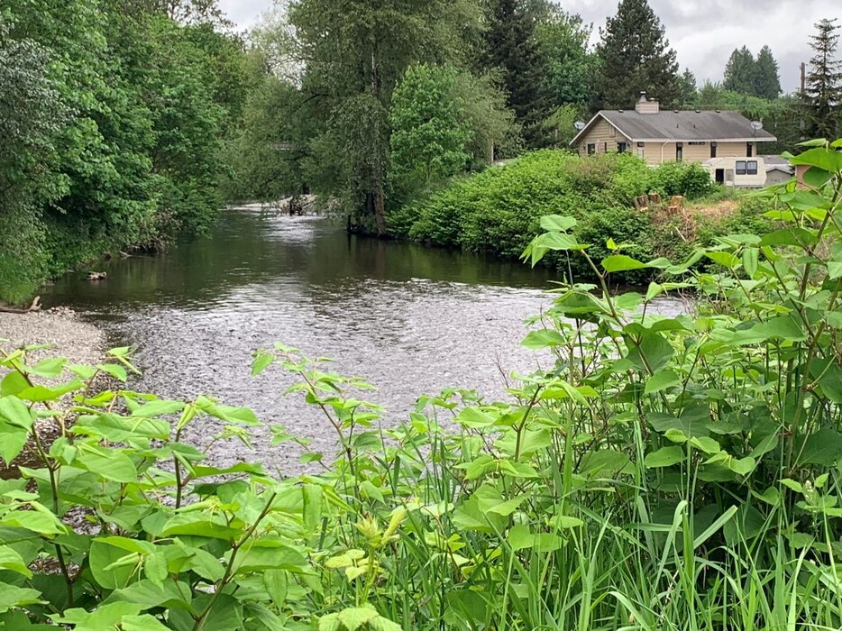 A photo of a damaged portion of a levee on the Pilchuck River in Washington.