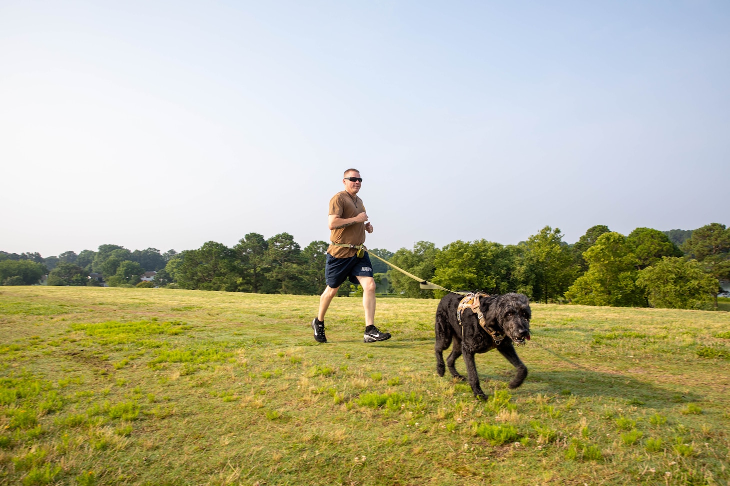 Sailor running on a grass field with his dog