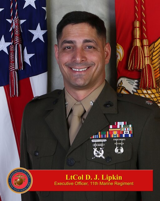 Lieutenant Colonel David J. Lipkin > 1st Marine Division > Biography