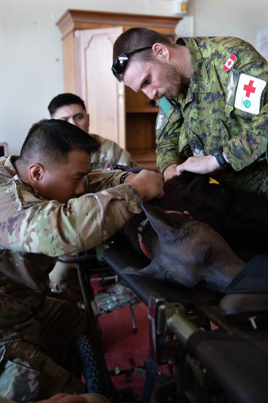 Effects and enablers team create real-world training during Global Medic exercise