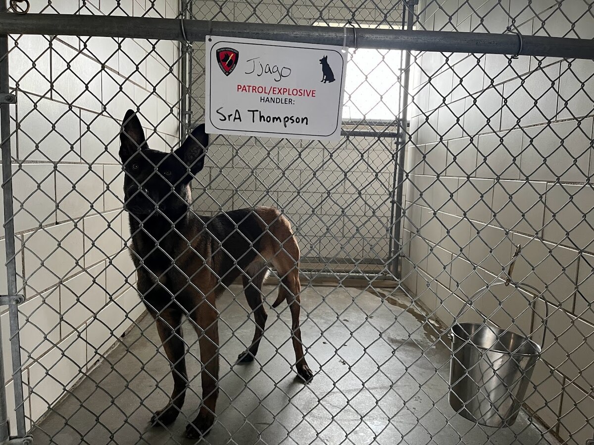 Kennel base 2025