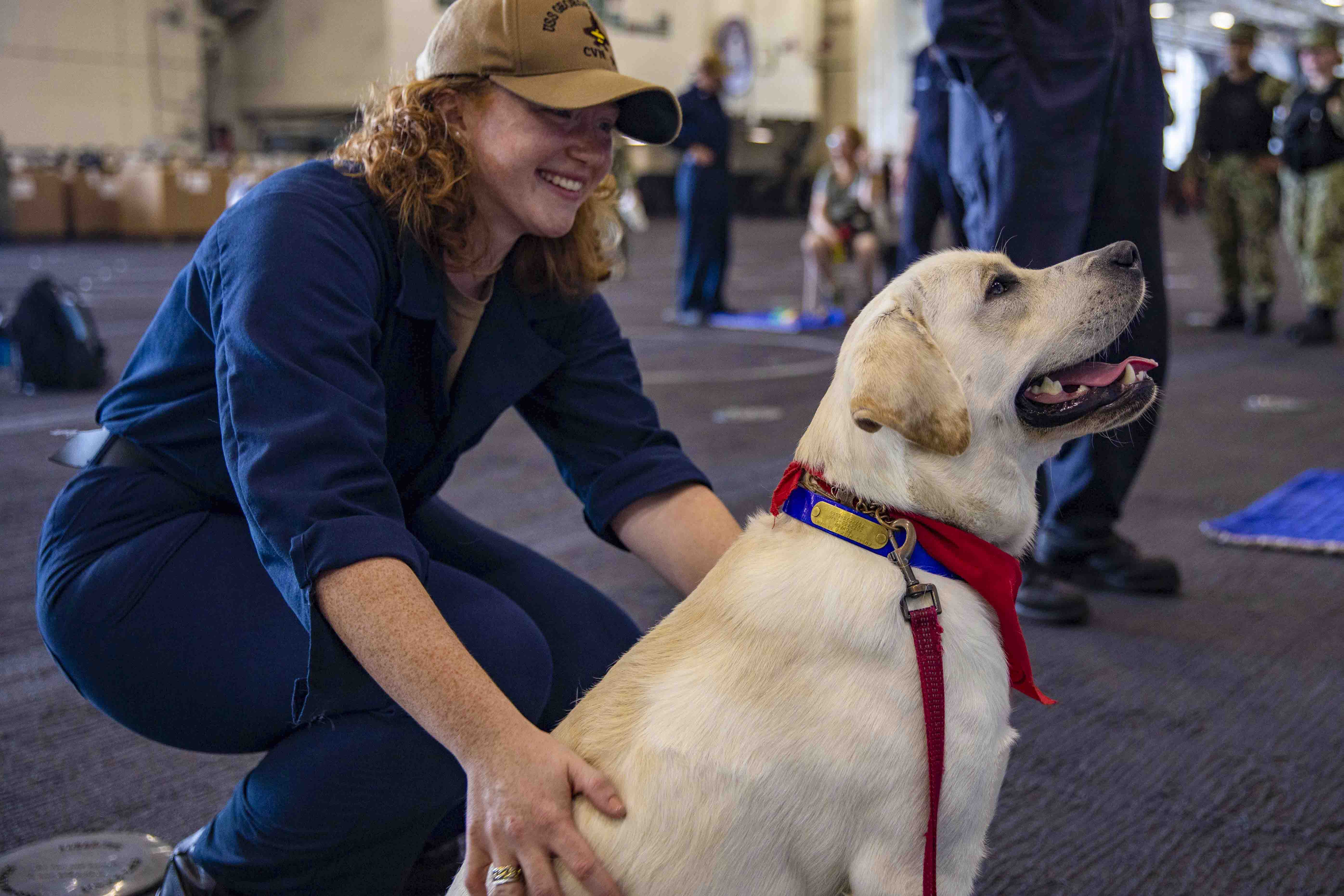 Mutts With a Mission