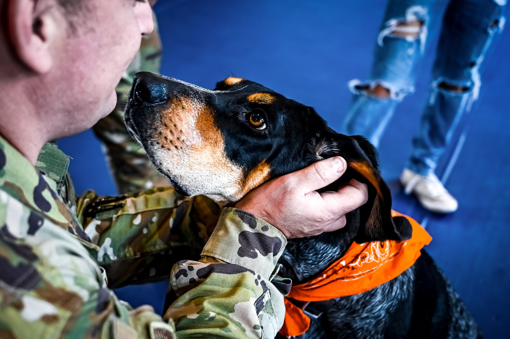 Service members, their families, and volunteers with the Bright and Beautiful Therapy Dogs organization interact with K-9s during a visit to Joint Base McGuire-Dix-Lakehurst, N.J. on 23 June, 2023. Bright and Beautiful Therapy Dogs is a non-profit organization that trains, evaluates and qualifies dogs and their handlers to become certified therapy dog teams. Once certified, teams may visit nursing homes, assisted living facilities, homeless shelters, schools, libraries, universities, mental health facilities, and more. The visit was a first for the Joint Base, where support for Comprehensive Airman Fitness and the resiliency factor across the Joint Force remains a top-line priority for leadership.