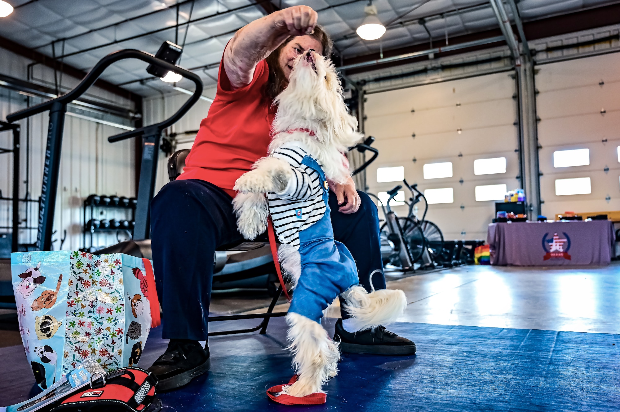 Service members, their families, and volunteers with the Bright and Beautiful Therapy Dogs organization interact with K-9s during a visit to Joint Base McGuire-Dix-Lakehurst, N.J. on 23 June, 2023. Bright and Beautiful Therapy Dogs is a non-profit organization that trains, evaluates and qualifies dogs and their handlers to become certified therapy dog teams. Once certified, teams may visit nursing homes, assisted living facilities, homeless shelters, schools, libraries, universities, mental health facilities, and more. The visit was a first for the Joint Base, where support for Comprehensive Airman Fitness and the resiliency factor across the Joint Force remains a top-line priority for leadership.