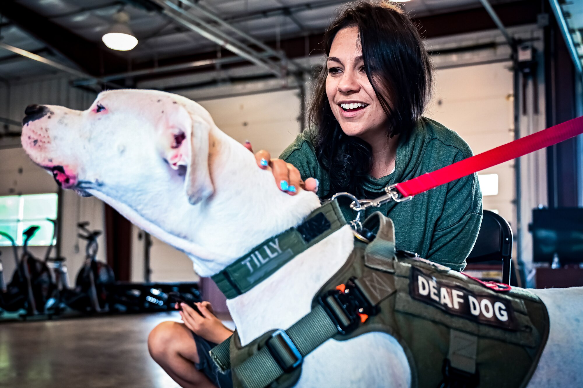 Service members, their families, and volunteers with the Bright and Beautiful Therapy Dogs organization interact with K-9s during a visit to Joint Base McGuire-Dix-Lakehurst, N.J. on 23 June, 2023. Bright and Beautiful Therapy Dogs is a non-profit organization that trains, evaluates and qualifies dogs and their handlers to become certified therapy dog teams. Once certified, teams may visit nursing homes, assisted living facilities, homeless shelters, schools, libraries, universities, mental health facilities, and more. The visit was a first for the Joint Base, where support for Comprehensive Airman Fitness and the resiliency factor across the Joint Force remains a top-line priority for leadership.