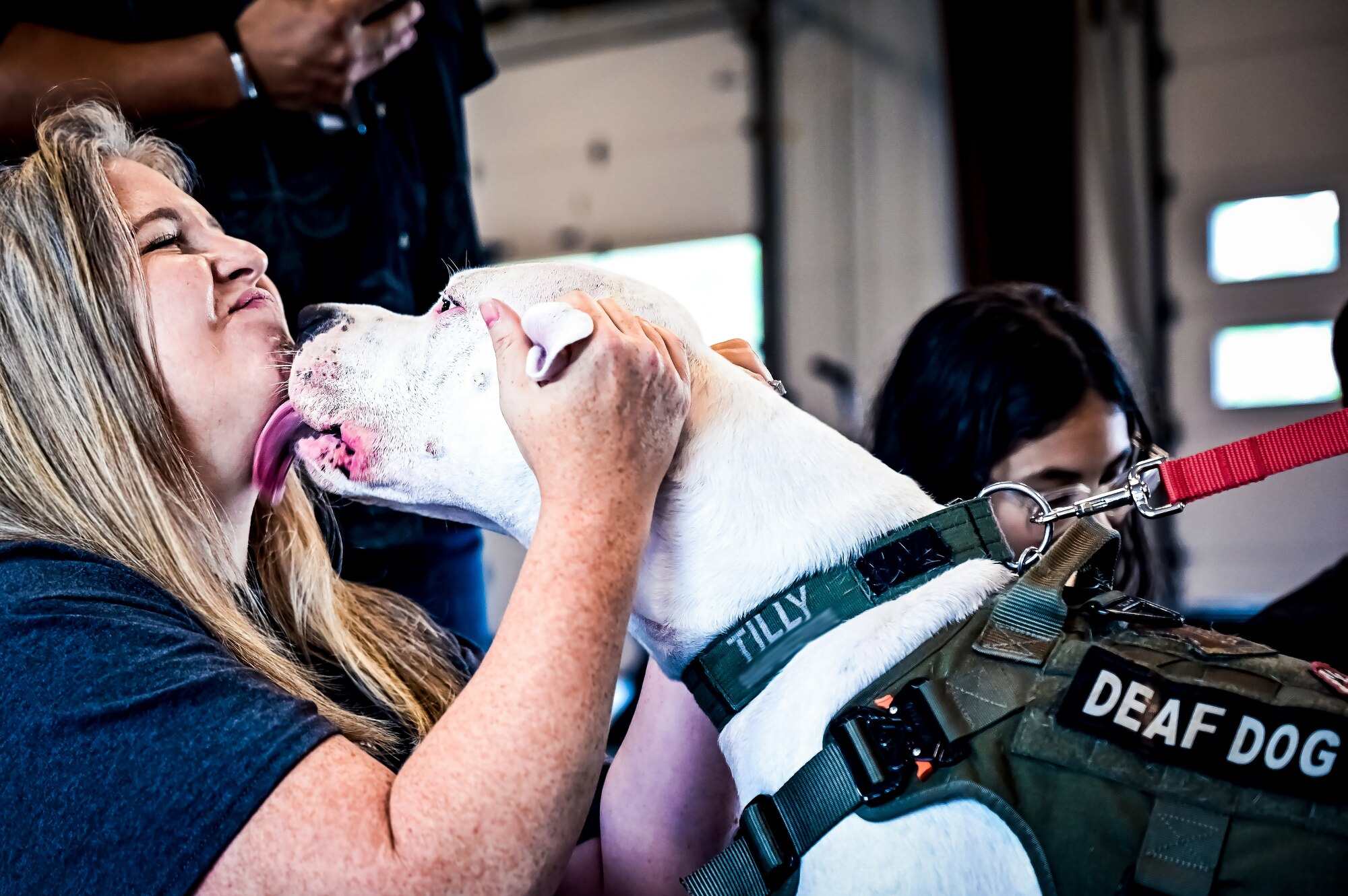Service members, their families, and volunteers with the Bright and Beautiful Therapy Dogs organization interact with K-9s during a visit to Joint Base McGuire-Dix-Lakehurst, N.J. on 23 June, 2023. Bright and Beautiful Therapy Dogs is a non-profit organization that trains, evaluates and qualifies dogs and their handlers to become certified therapy dog teams. Once certified, teams may visit nursing homes, assisted living facilities, homeless shelters, schools, libraries, universities, mental health facilities, and more. The visit was a first for the Joint Base, where support for Comprehensive Airman Fitness and the resiliency factor across the Joint Force remains a top-line priority for leadership.