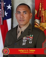 Inspector - Instructor Unit Senior Enlisted Leader