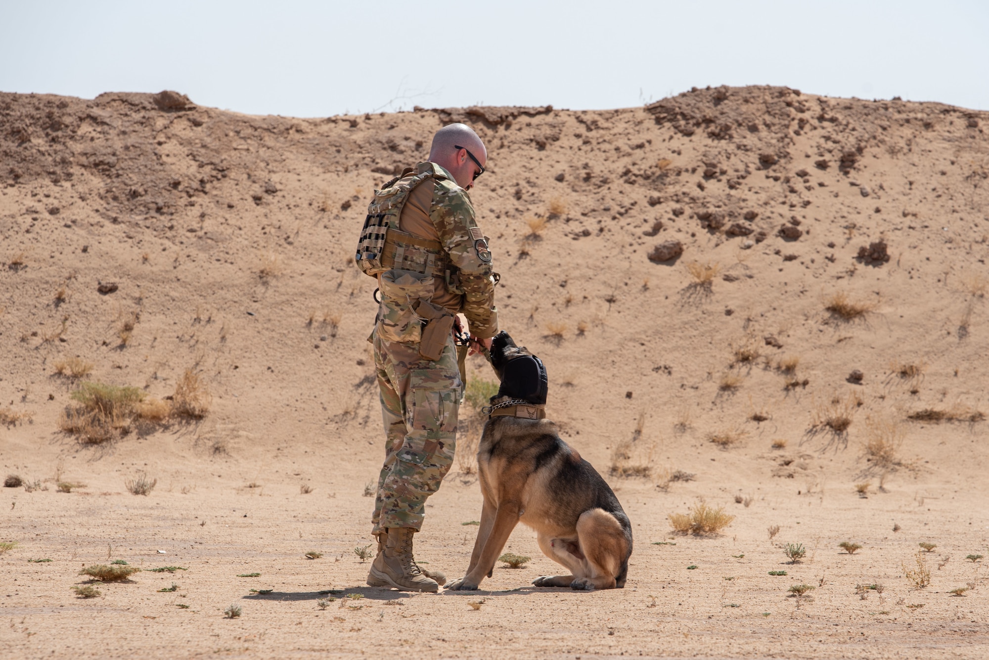 378th ESFS conduct live-fire training with military working dogs