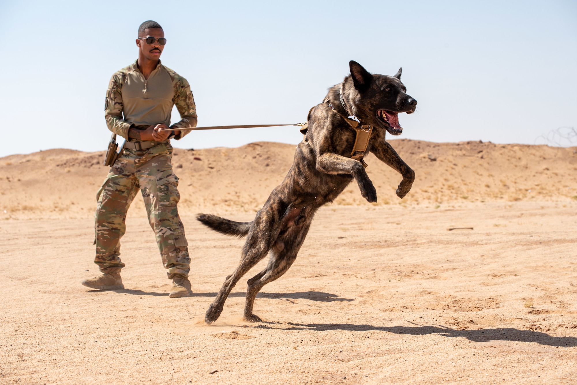 378th ESFS conduct live-fire training with military working dogs