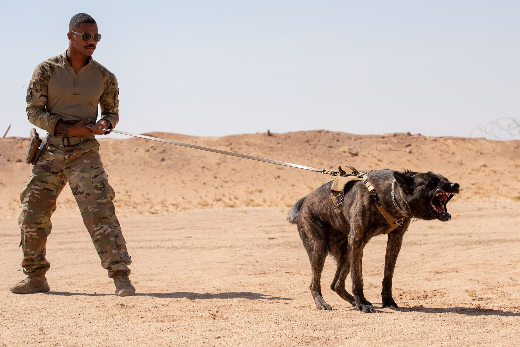 378th ESFS conduct live-fire training with military working dogs