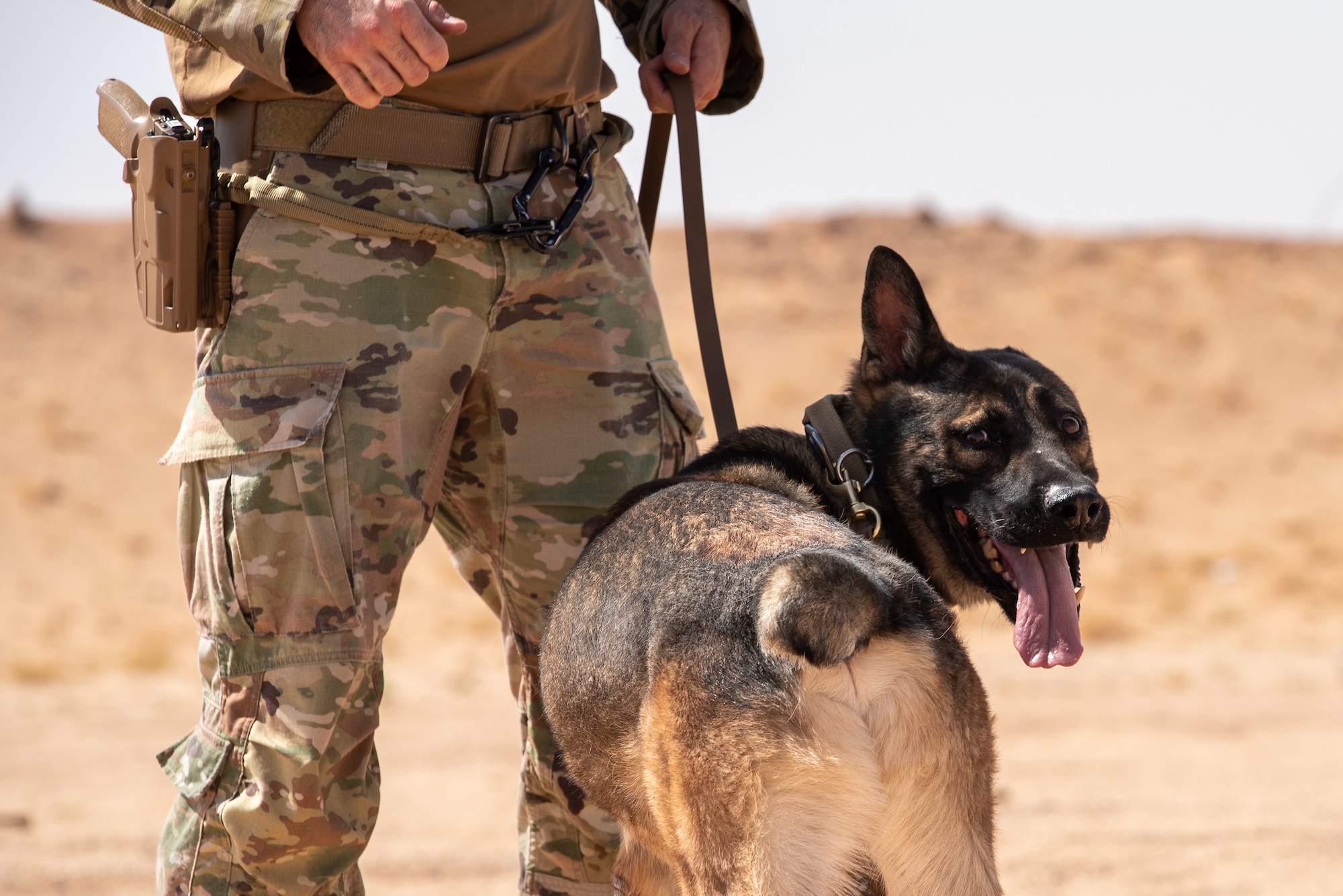 378th ESFS conduct live-fire training with military working dogs