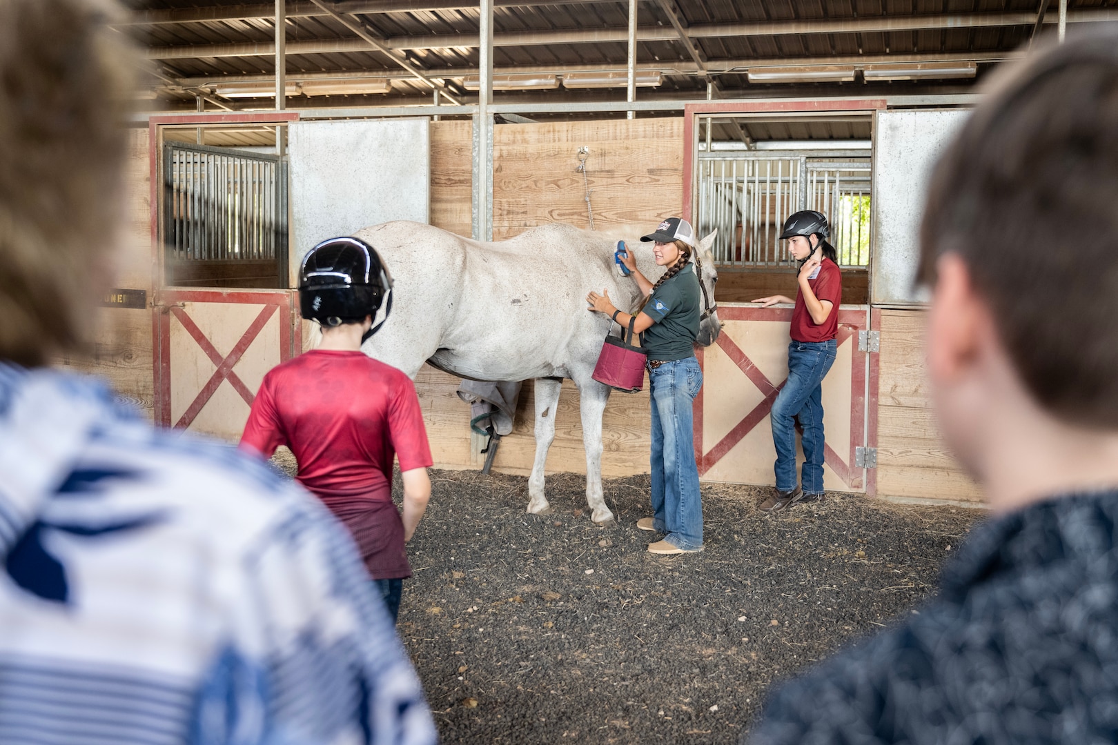 Equestrian instructor showing children how to brush a horse.
