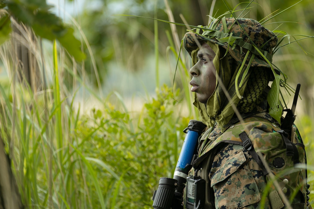 A Marine wearing camouflage stands in a field of tall grass while carrying a weapon.