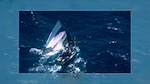 Coast Guard Cutter Resolute's crew interdicts an overloaded migrant vessel 30 miles north of Cap Haitien, Haiti, July 15, 2023. The vessel contained 94 people aboard attempting to unlawfully migrate to the U.S. (U.S. Coast Guard photo