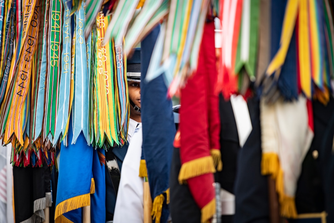 A service member stands at attention partially hidden by flags.