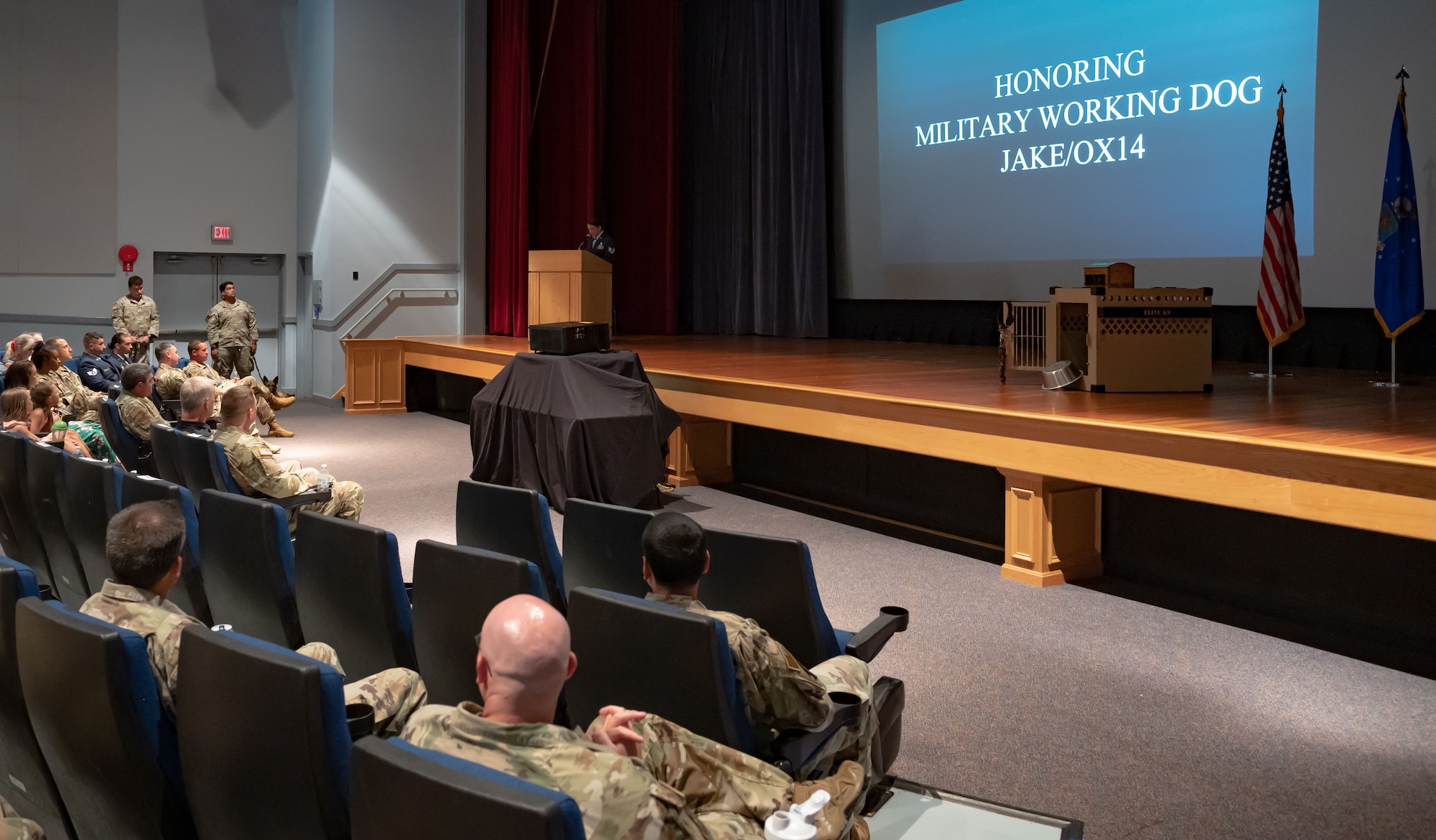 Staff Sgt. Ashley Korthuis, 436th Security Forces Squadron Military Working Dog liaison, speaks during a memorial ceremony for MWD Jake OX14 at Dover Air Force Base, Delaware, July 10, 2023. The 436th SFS held the memorial ceremony in hopes of providing closure to retired U.S. Air Force Staff Sgt. Mark Smoot, MWD Jake’s handler, during their deployment to Vietnam in 1971. (U.S. Air Force photo by Airman 1st Class Dieondiere Jefferies)
