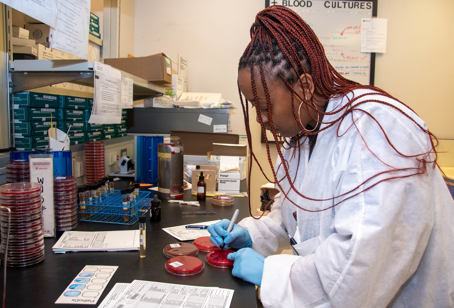 PORTSMOUTH, Va. (March 9, 2023) Laboratory Technician Andrienne Collier works with wound cultures to isolate microorganisms while working at the Naval Medical Center Portsmouth laboratory. As part of the Defense Health Agency’s Tidewater Market, the NMCP laboratory provides a comprehensive range of anatomic pathology, blood bank, and clinical pathology services to eligible beneficiaries in the Tidewater region. (U.S. Navy photo by Mass Communication Specialist 2nd Class Dylan M. Kinee/Released)