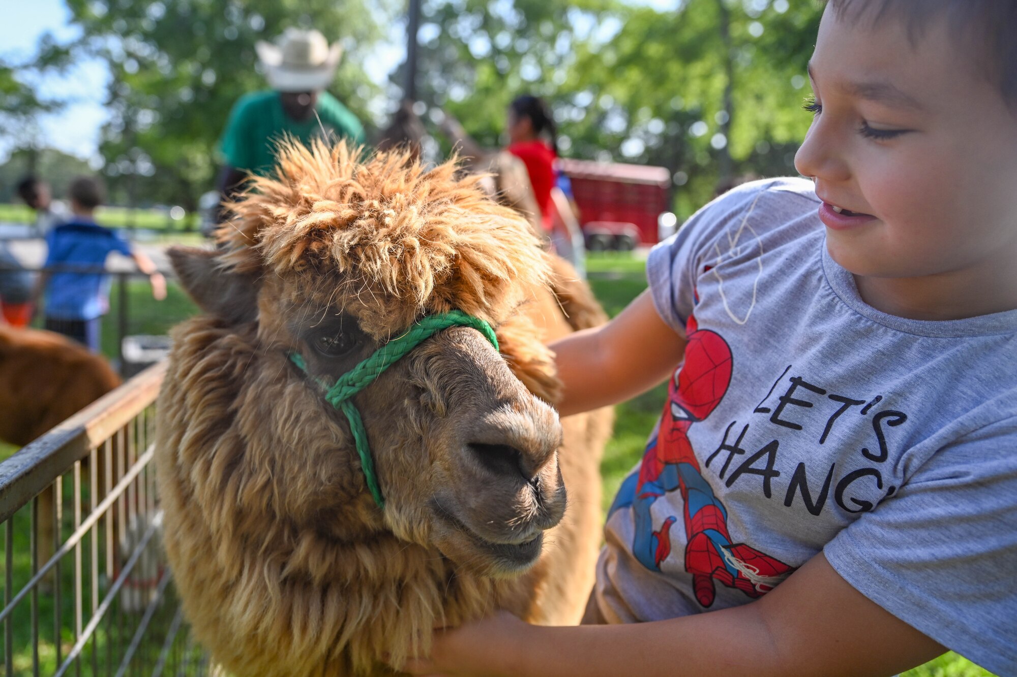 A child holds an alpaca