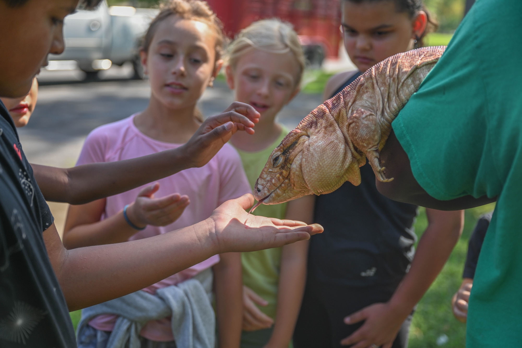 A group of children touch a lizard