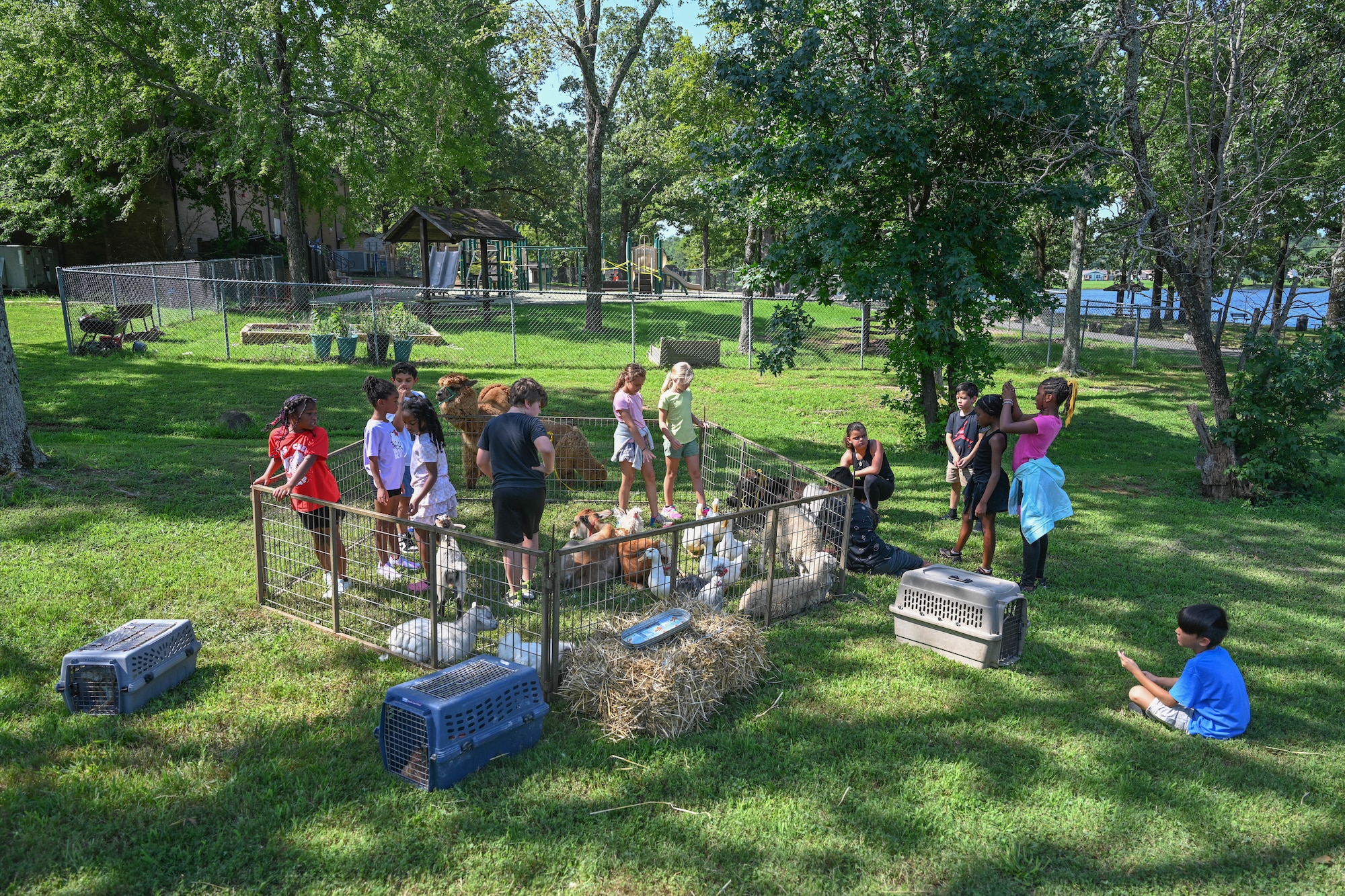 A group of children interact with animals at a petting zoo