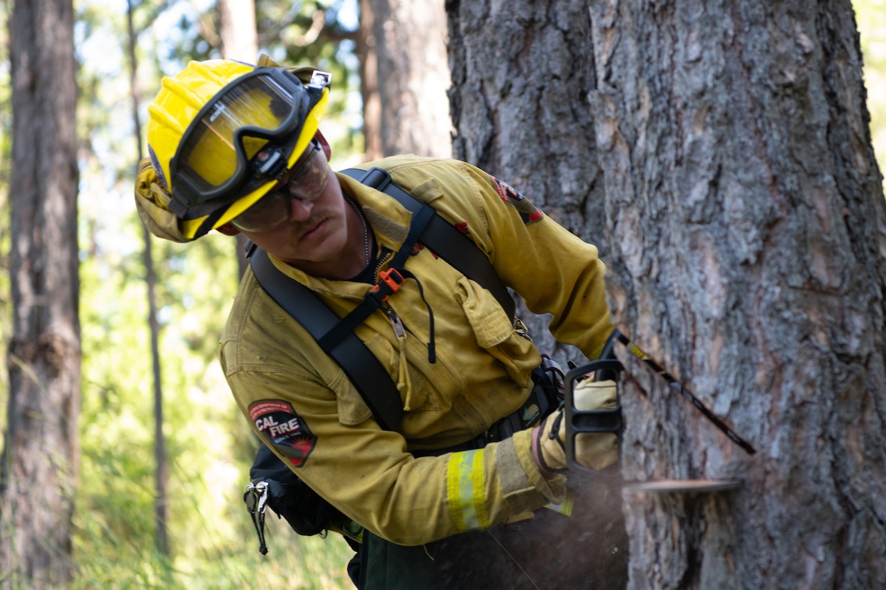 A man cuts a tree trunk with a chainsaw.