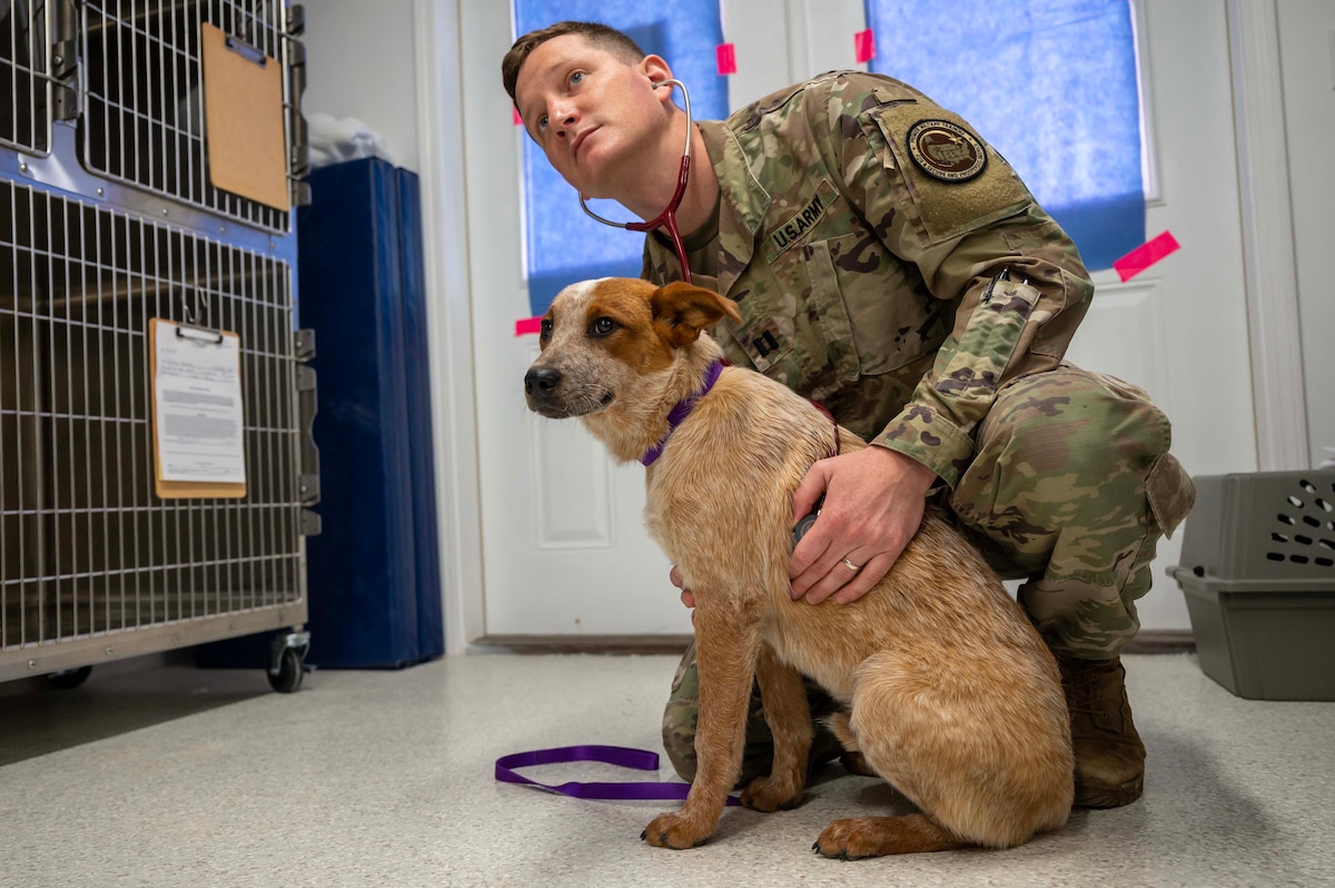 Photo of person and dog.