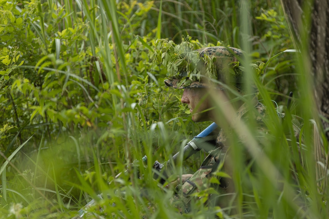 A Marine is partially hidden by green bushes and plants during patrol.